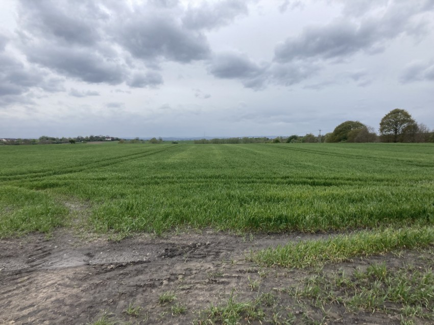 Images for Old Sharlston, Wakefield