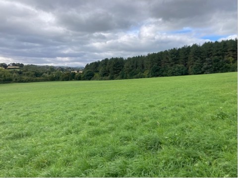 View Full Details for Land off Cawthorne Lane, Cawthorne, Barnsley