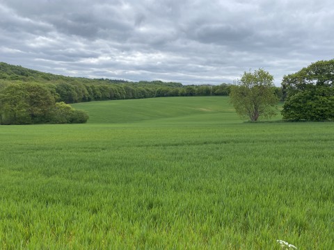 View Full Details for Agricultural Land off Carr Lane, Middlestown