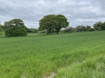 Images for Agricultural Land off Carr Lane, Middlestown