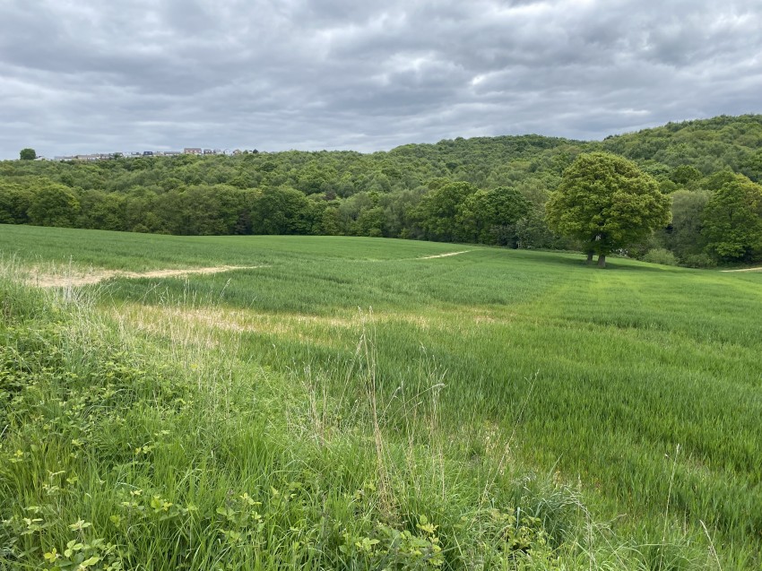 Images for Agricultural Land off Carr Lane, Middlestown