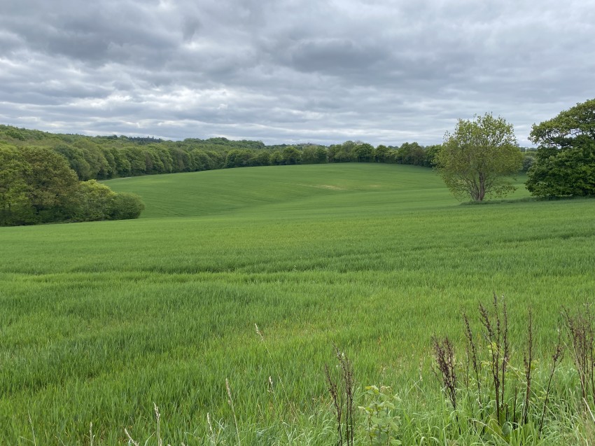 Images for Agricultural Land off Carr Lane, Middlestown