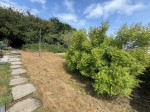 Images for New Road, Staincross, Barnsley