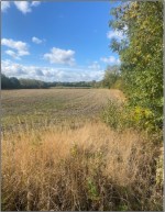 Images for Royston, Barnsley