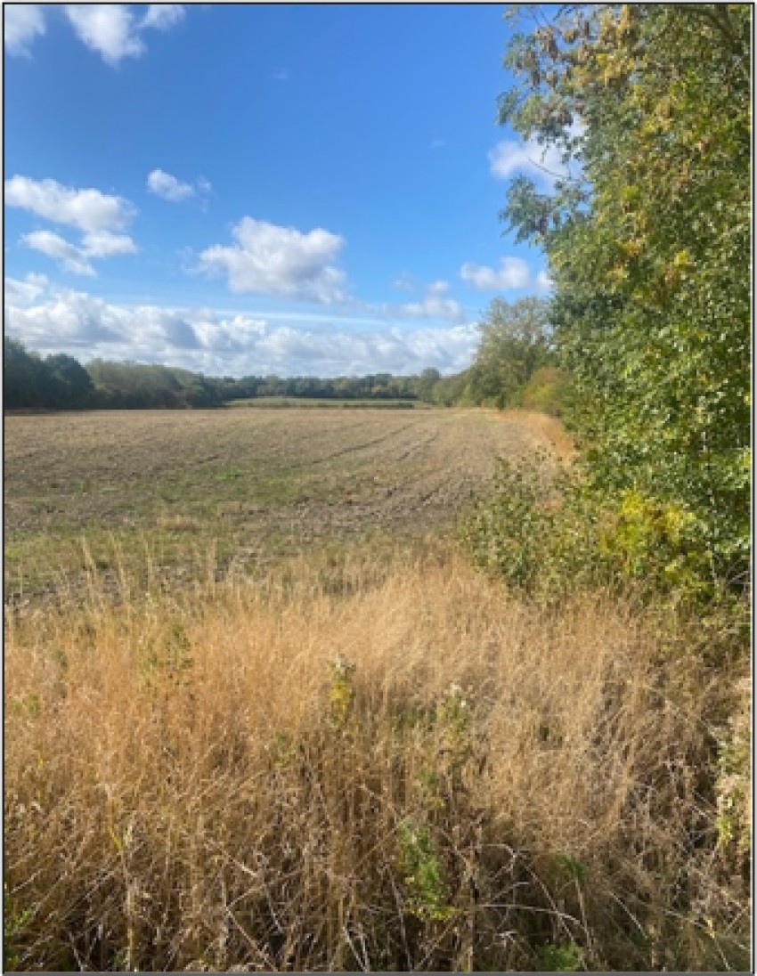 Images for Royston, Barnsley