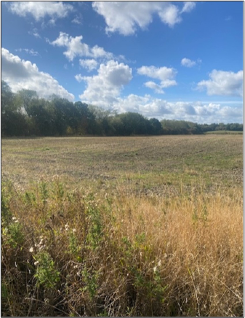 Images for Royston, Barnsley