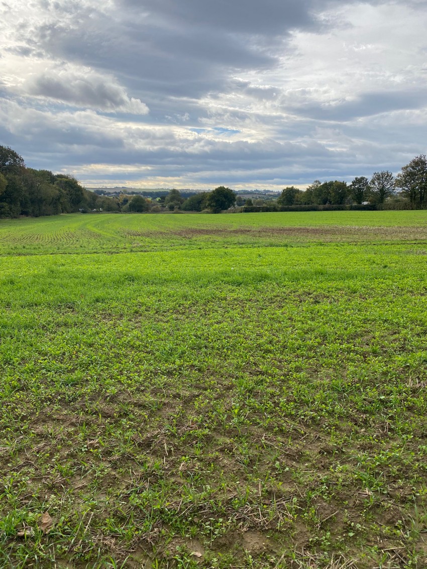 Images for 115.95 acres Agricultural Land, Ackworth, Pontefract