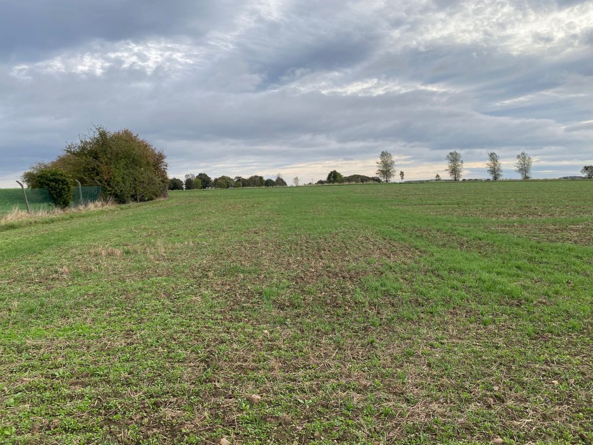 Images for 115.95 acres Agricultural Land, Ackworth, Pontefract