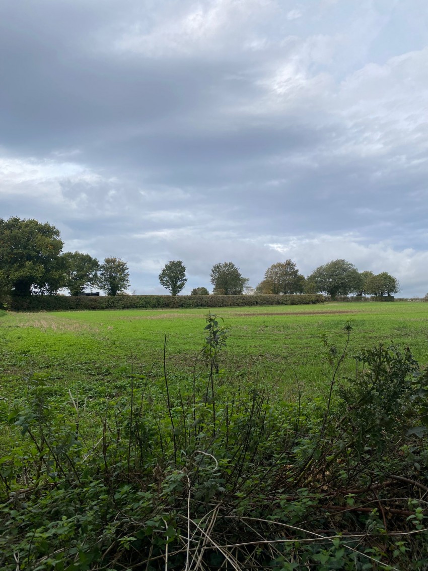 Images for 115.95 acres Agricultural Land, Ackworth, Pontefract