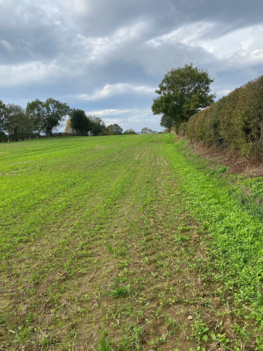 Images for 115.95 acres Agricultural Land, Ackworth, Pontefract