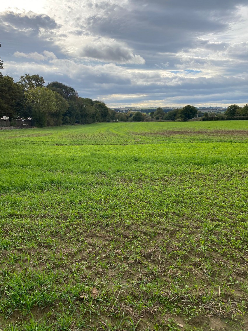 Images for 115.95 acres Agricultural Land, Ackworth, Pontefract