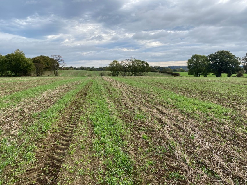 Images for 115.95 acres Agricultural Land, Ackworth, Pontefract