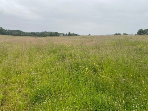View Full Details for 15.96 acres Grassland, Kirkthorpe Lane, Kirkthorpe, Wakefield