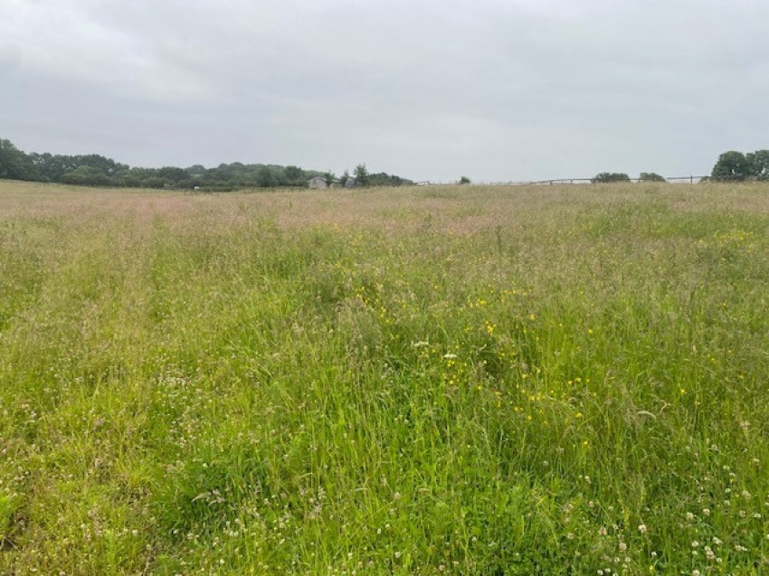 Images for 15.96 acres Grassland, Kirkthorpe Lane, Kirkthorpe, Wakefield