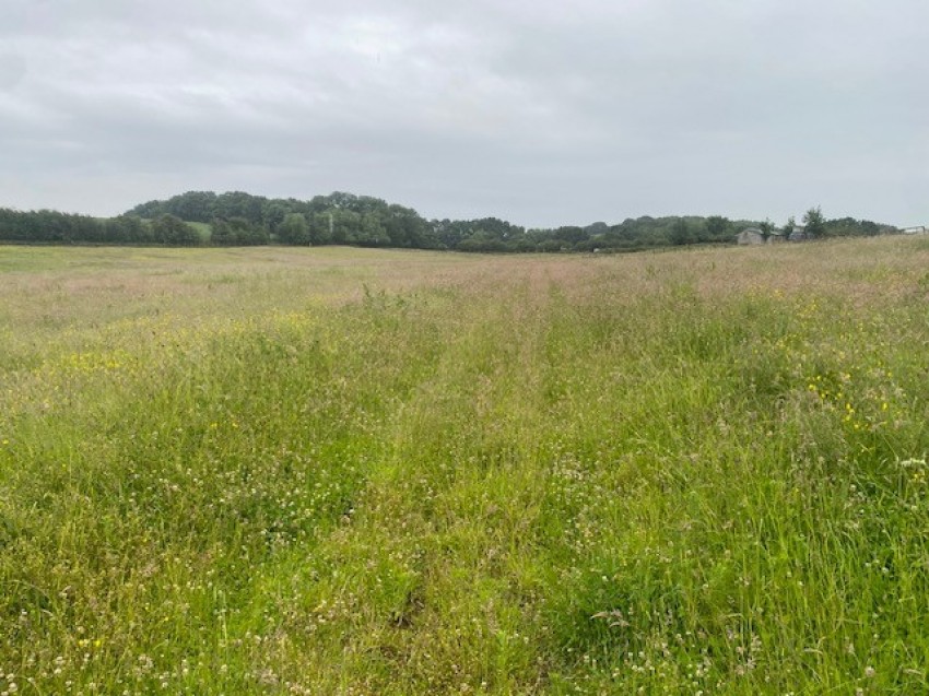 Images for 15.96 acres Grassland, Kirkthorpe Lane, Kirkthorpe, Wakefield