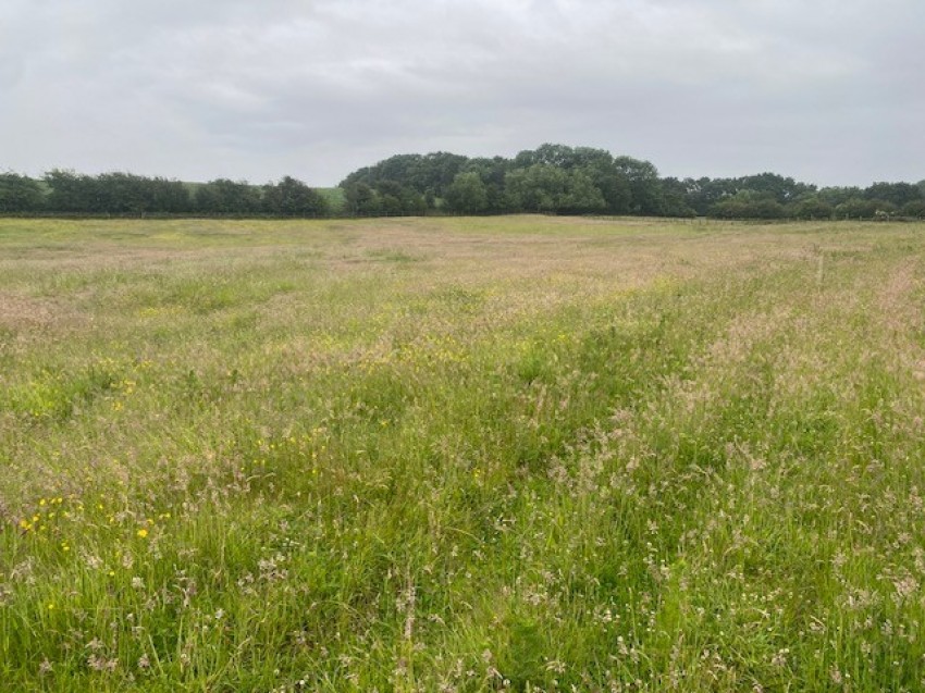 Images for 15.96 acres Grassland, Kirkthorpe Lane, Kirkthorpe, Wakefield