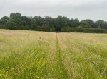 Images for 15.96 acres Grassland, Kirkthorpe Lane, Kirkthorpe, Wakefield