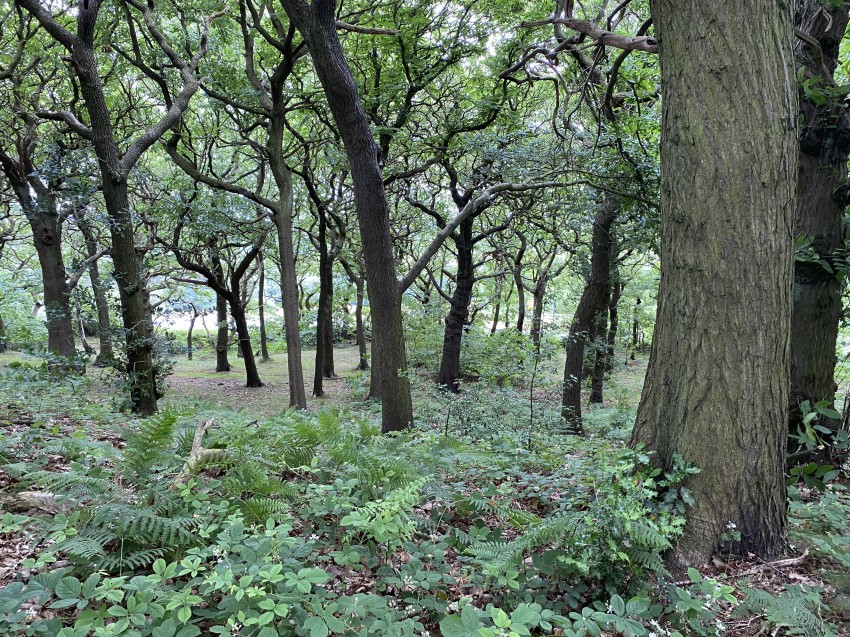 Images for Woolley Edge Lane, Woolley, Wakefield