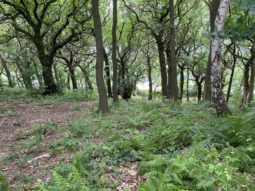 Images for Woolley Edge Lane, Woolley, Wakefield