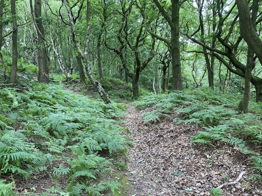 Images for Woolley Edge Lane, Woolley, Wakefield